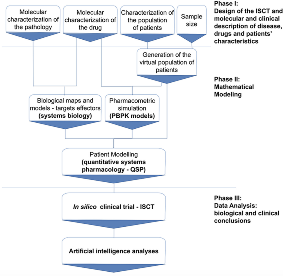In silico clinical trial protocol overview. 